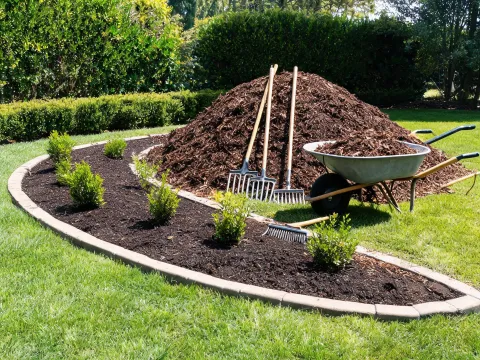 Landscape planting preparation